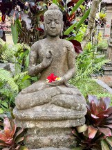 bali-buddha-2023